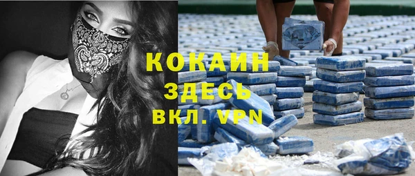 крисы Алексин