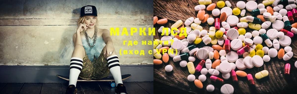 крисы Алексин