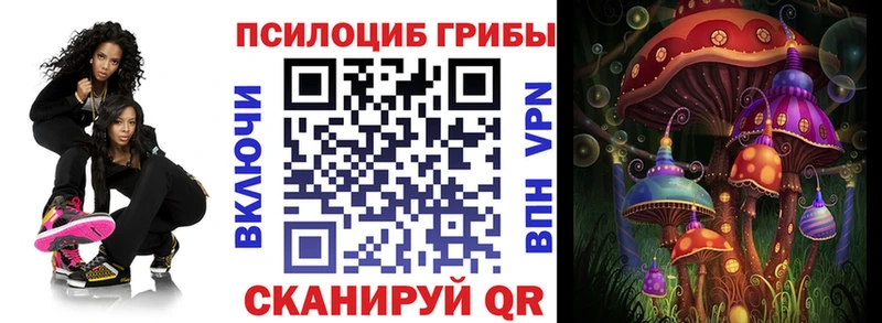 Псилоцибиновые грибы ЛСД  как найти наркотики  Зверево 